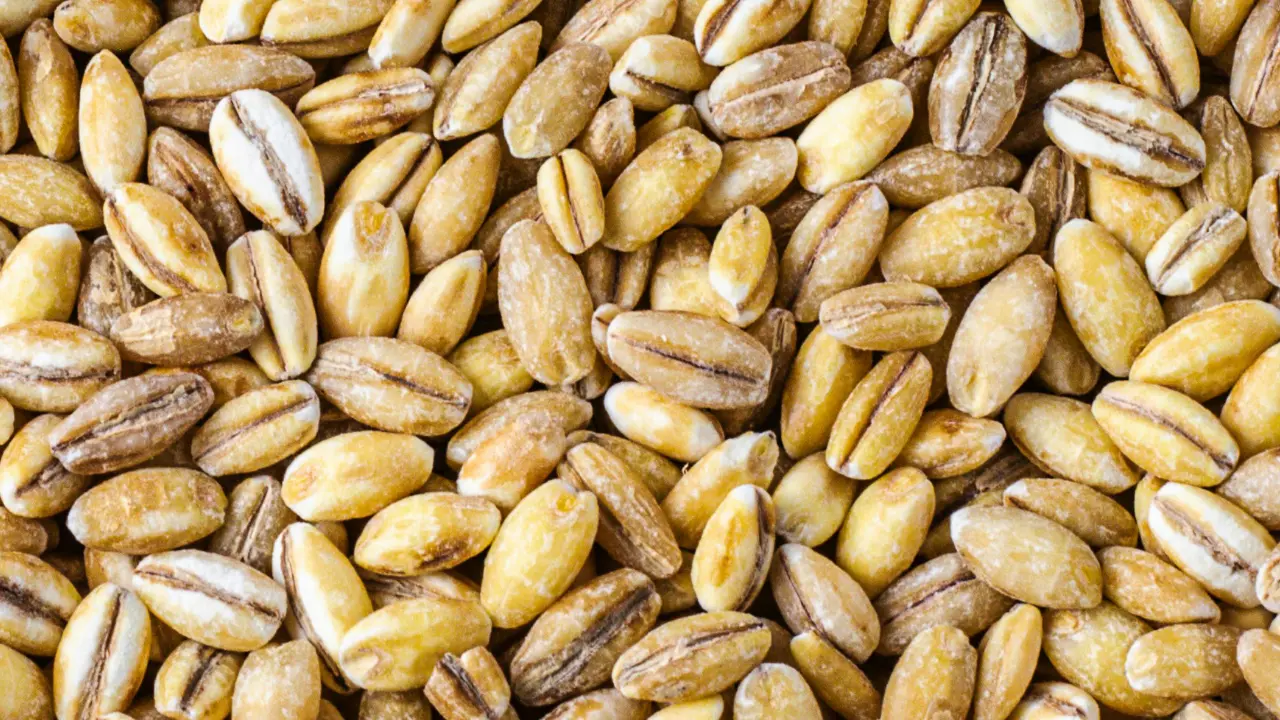 Grains d'avoine