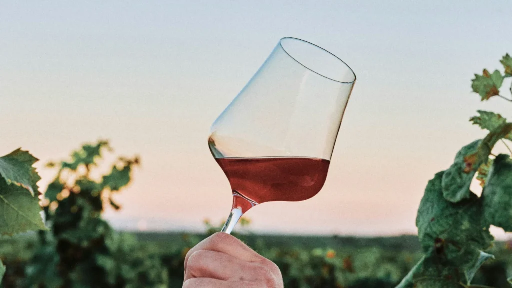 holding a glass of red wine in a vineyard