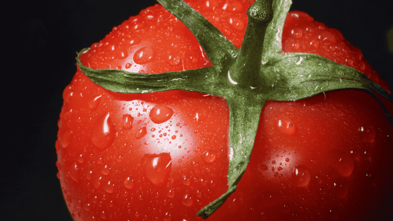 Close up of tomato with water droplets on the outside