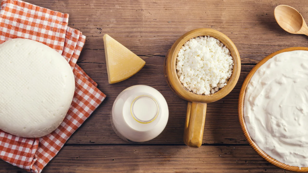 dairy products - milk and cheese