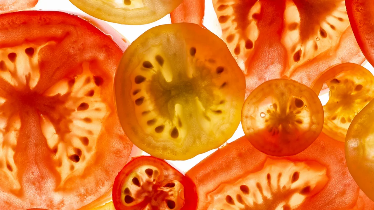 Rodajas de tomate sobre fondo blanco