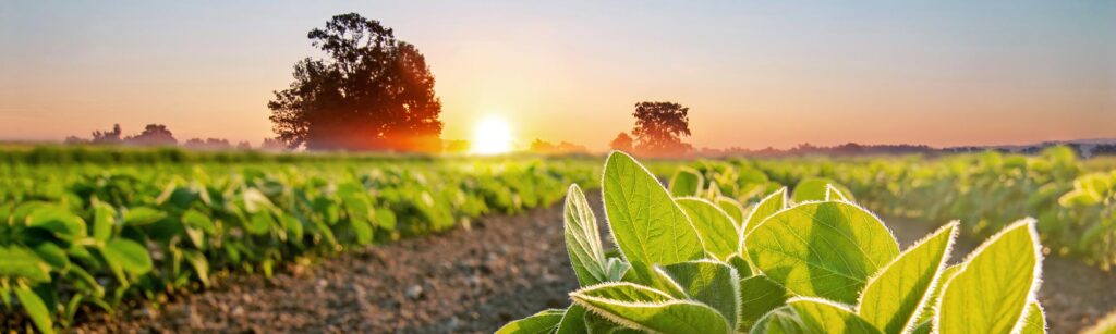 LECO - Event - Carbonate Removal from Soils - Hero image