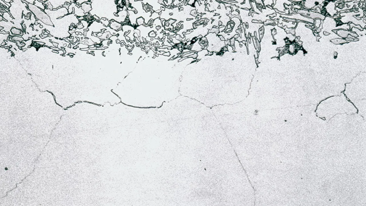 Photomicrograph of Stainless Steel Molybdenum