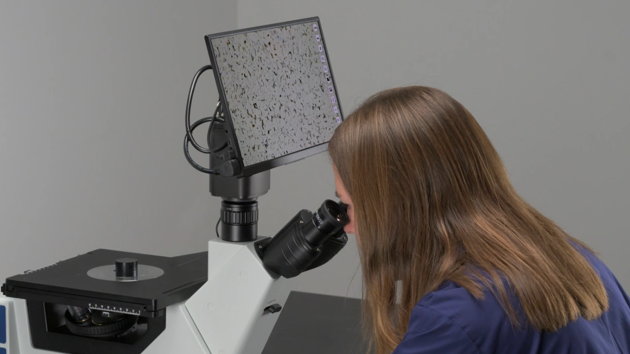 Metallurgist using eyepieces of multi-view capable microscope