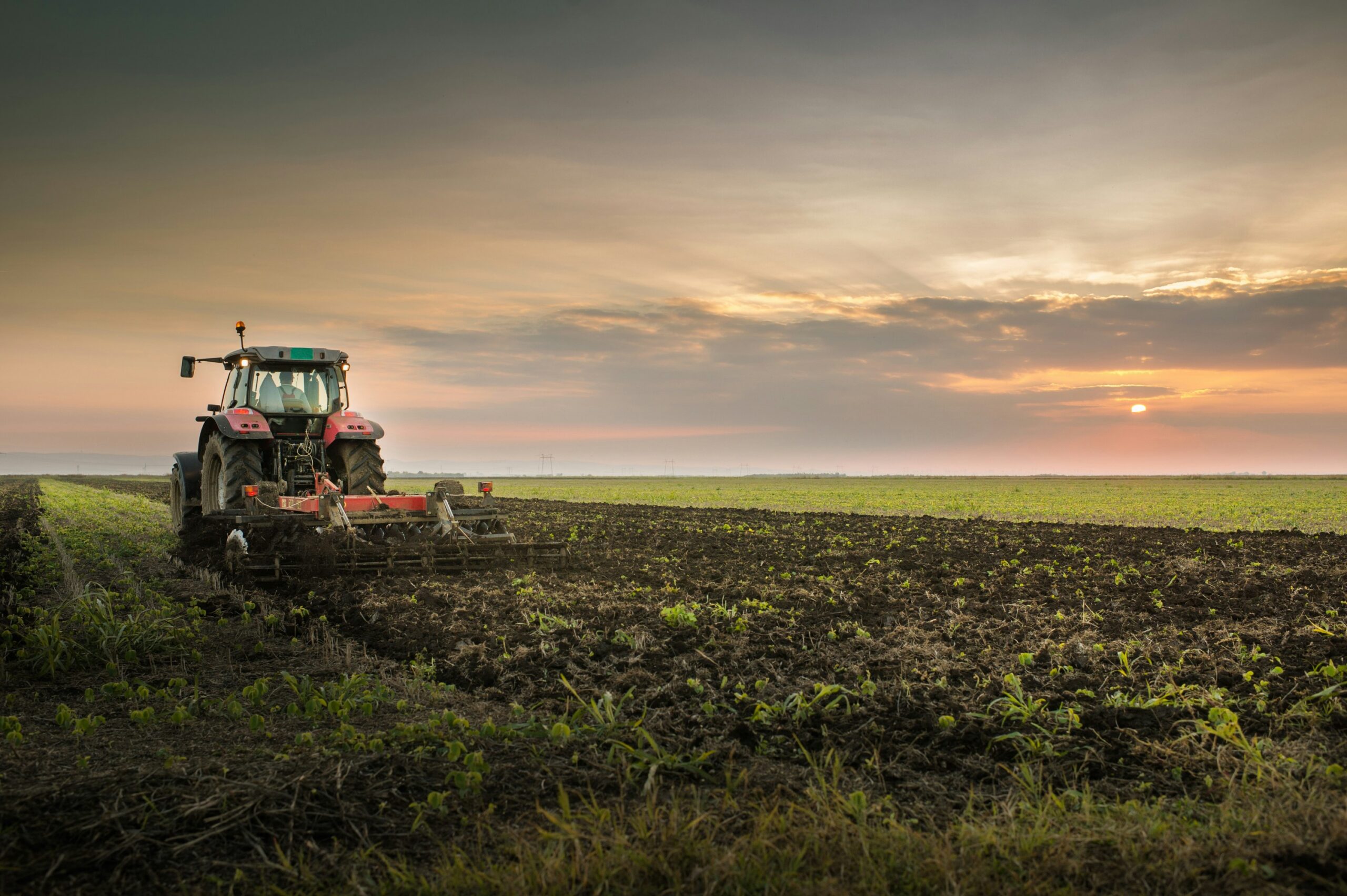 Traktor auf dem Feld; Bodenbearbeitung