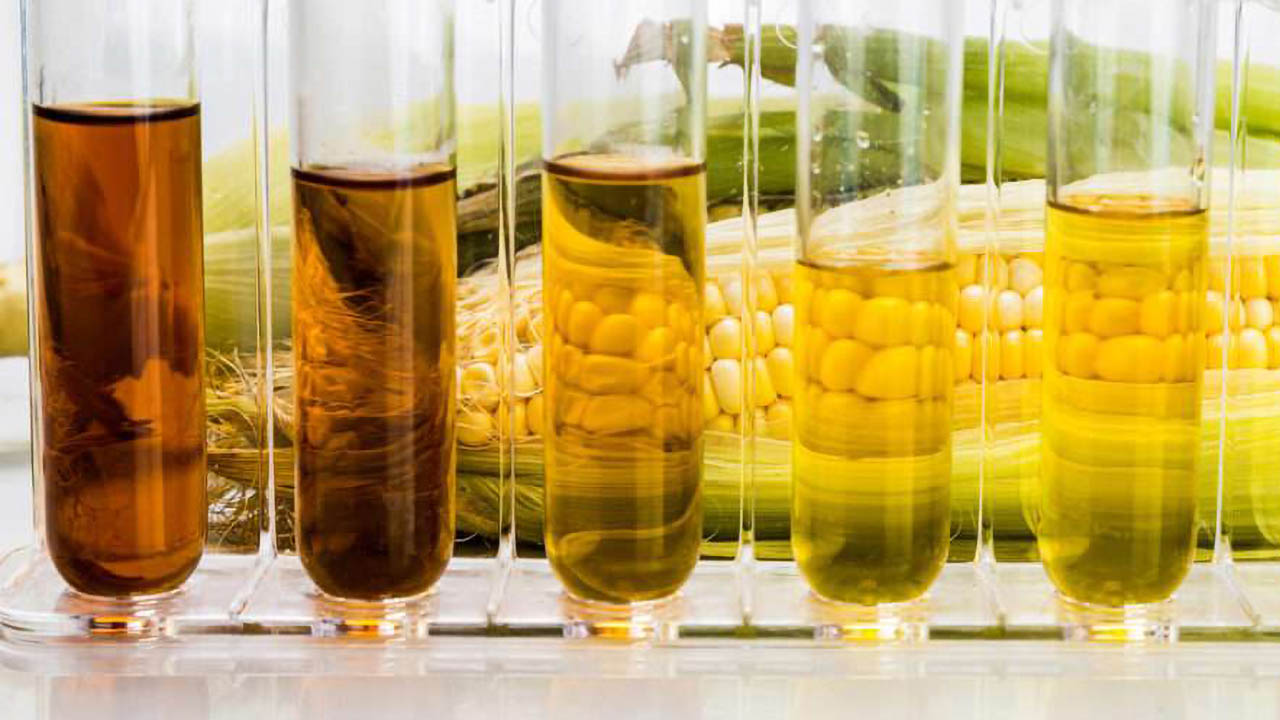 Corn and yeast metabolite characterization