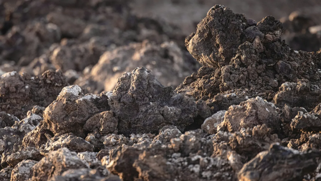 Getrockneter Boden zur Darstellung der thermischen Analyse