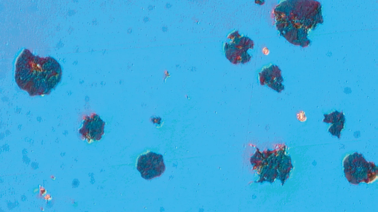 photomicrograph of ductile iron