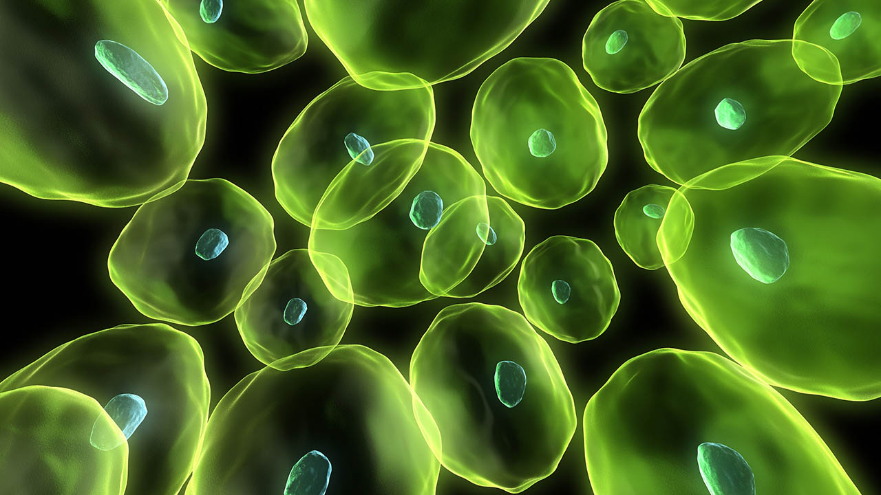 blood cell profiling