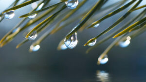 Environmental Testing & Analysis Solutions