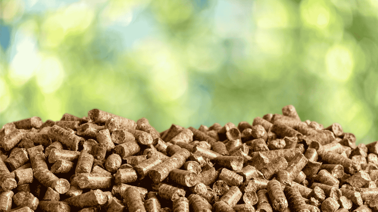 Libérer le potentiel des biocarburants : pourquoi une analyse précise de CHNS est importante