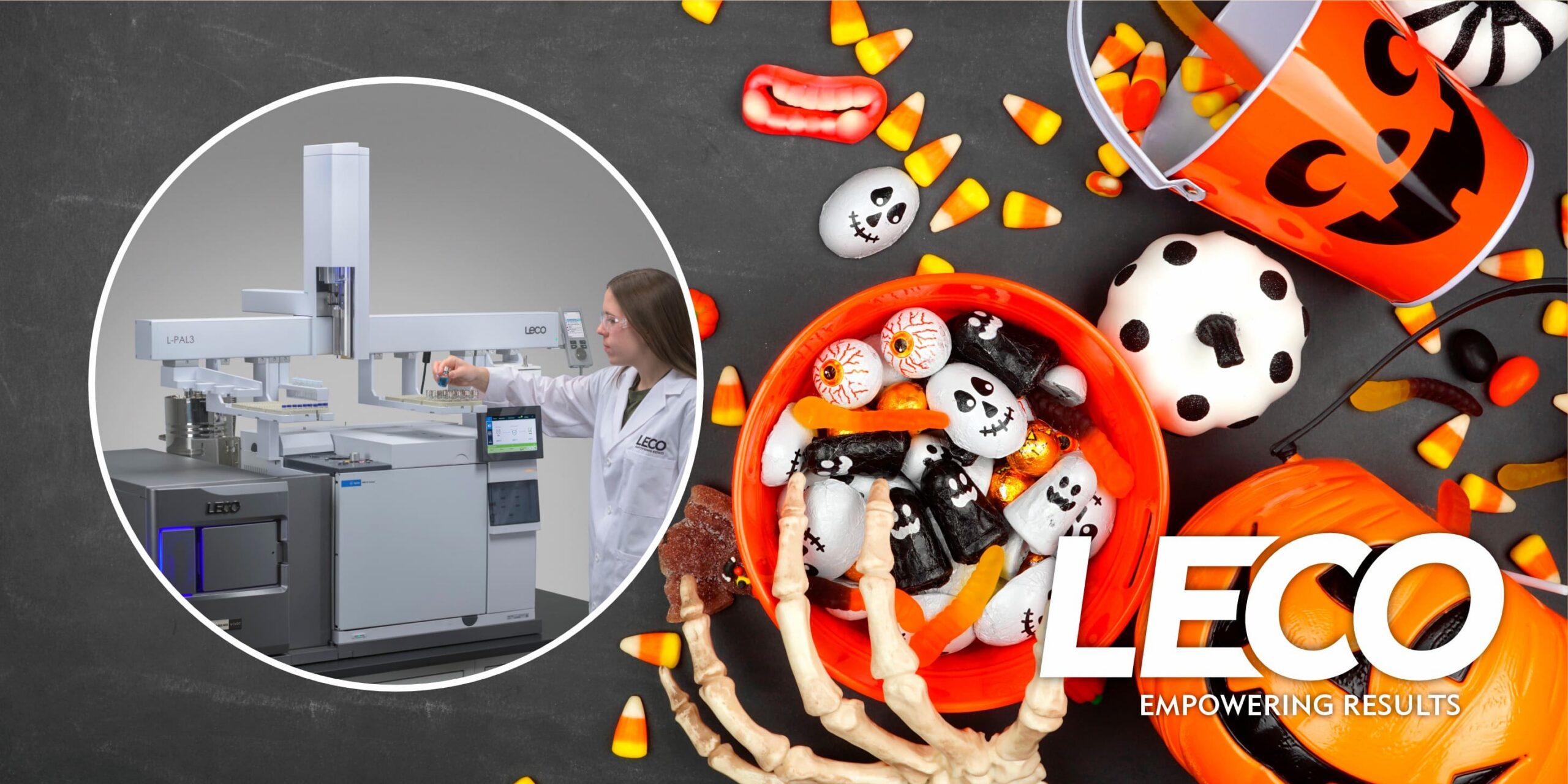 Trick or Treat! What’s Inside Your Favorite Sweet?