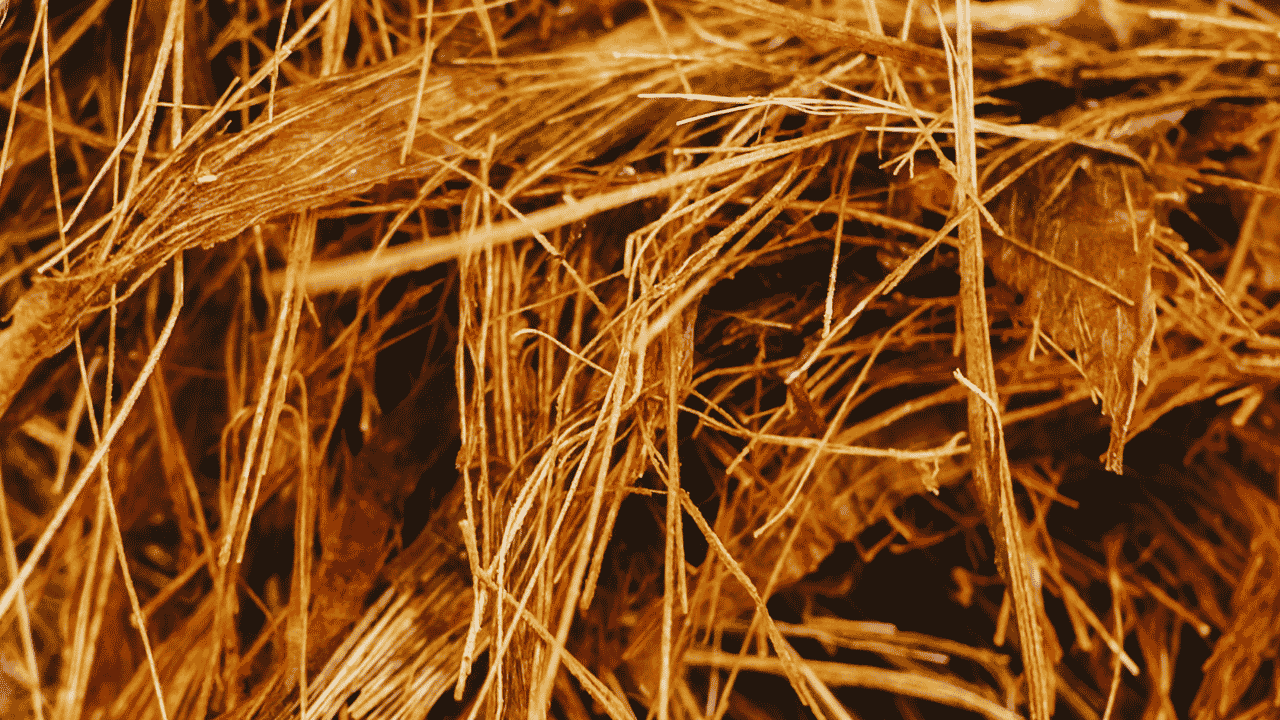 wood or straw fiber strands