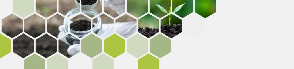 green hexagonal grid with soil and plant photos intertwined