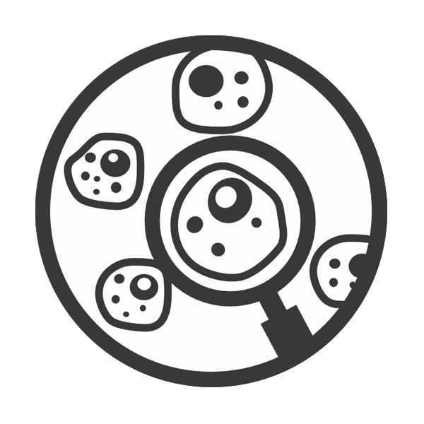 Discovery-simplified