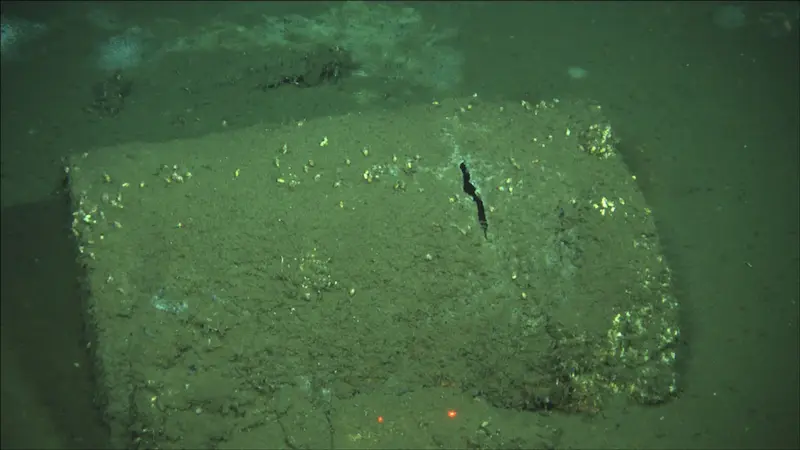 A ruptured barrel on the ocean floor