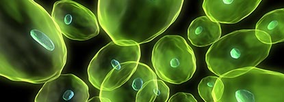 LECO-metabolomics_app-note01